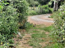 Neighbours