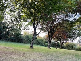 View from pitch.