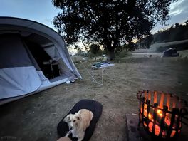 Fire pit