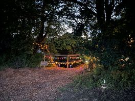 Loved the fairy lights on the way to the cabin