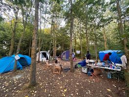 Our woodland pitch in the daytime