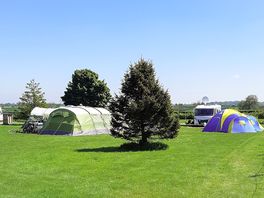 Grass pitches
