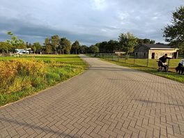 Très calme le matin