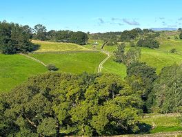View of the peaceful site from the hill.