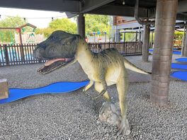 Kids crazy golf