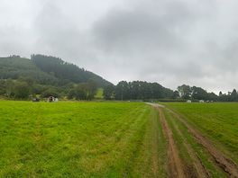 Panoramic view