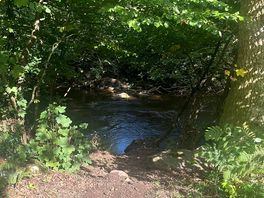 Stream next to camp