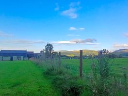 View from yurt