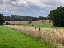 Very peaceful site