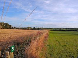 View from our caravan