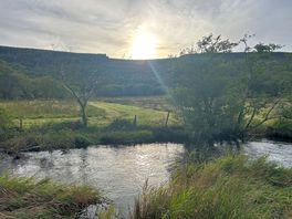 Riverside walk