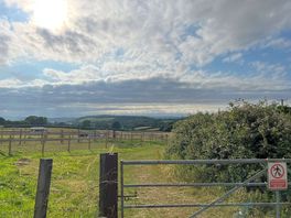 Views from the farm.
