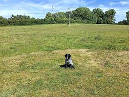 Ozzie had a great time