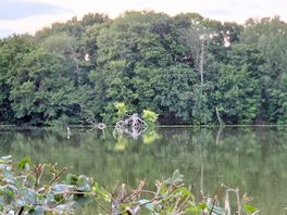 Local scenery