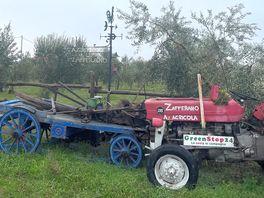 The farm
