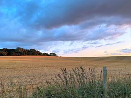 View from campsite