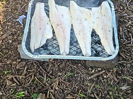 Brilliant weather for cooking outside