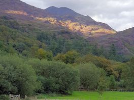 Another from our pitch