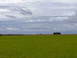 Another view down the field !