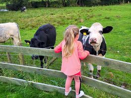 Saying hello to our neighbors