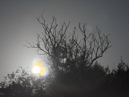 Moon view from tent