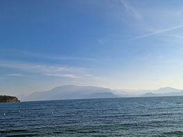 Ausblick