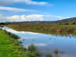 River walk to arundel