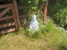 Budda