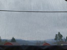 Morning view from inside