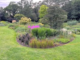 The gardens