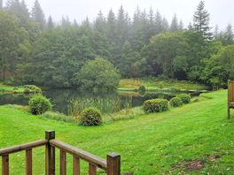 View from our camping pod