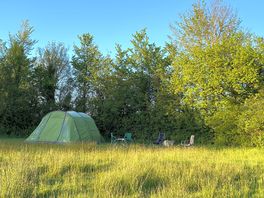 Tent pitched on the wildflower meadow