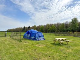 Huge field pitches with electric hookup and fresh water to each pitch