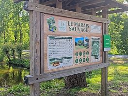 Schild