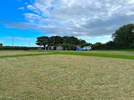 Freshly mowed and space to run without loads of tents and campervans squished in