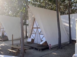 Tipis