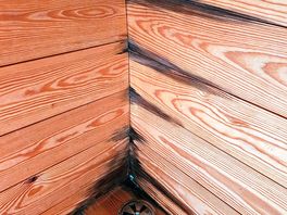 Old water damage on pod, untreated