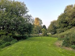 Dog walk