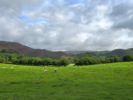 Scenery
