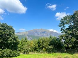 Day view