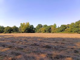 Spacious pitches
