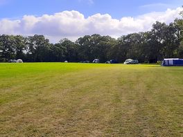 Very spacious field