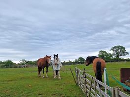 Friendly neighbours