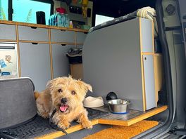 Keeping cool!