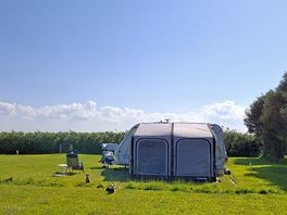 Quiet campsite