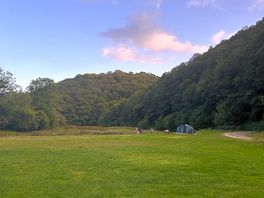 Site