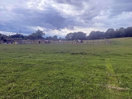 Animal pen on side of field