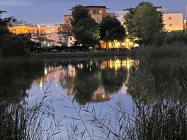 Lake view from pitch