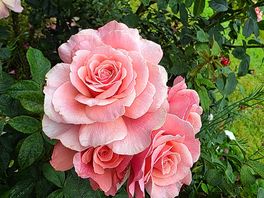 Beautiful
