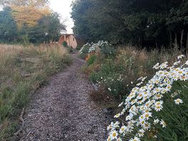 Lovely grounds